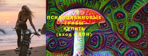 a pvp Абаза
